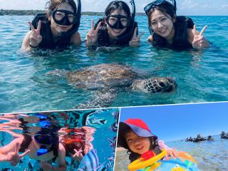 運が良ければウミガメと一緒に泳げるかも♪
