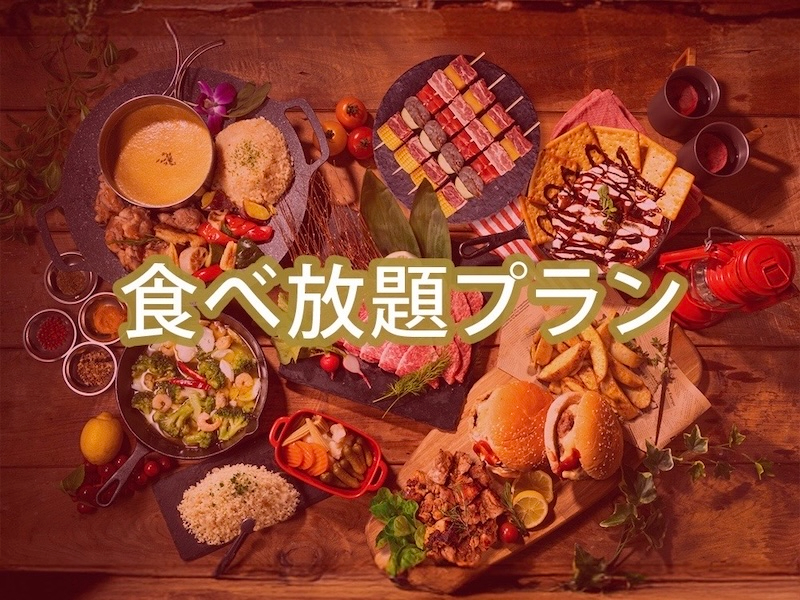 �_�C�A�����h�X�^�[BBQ�v����