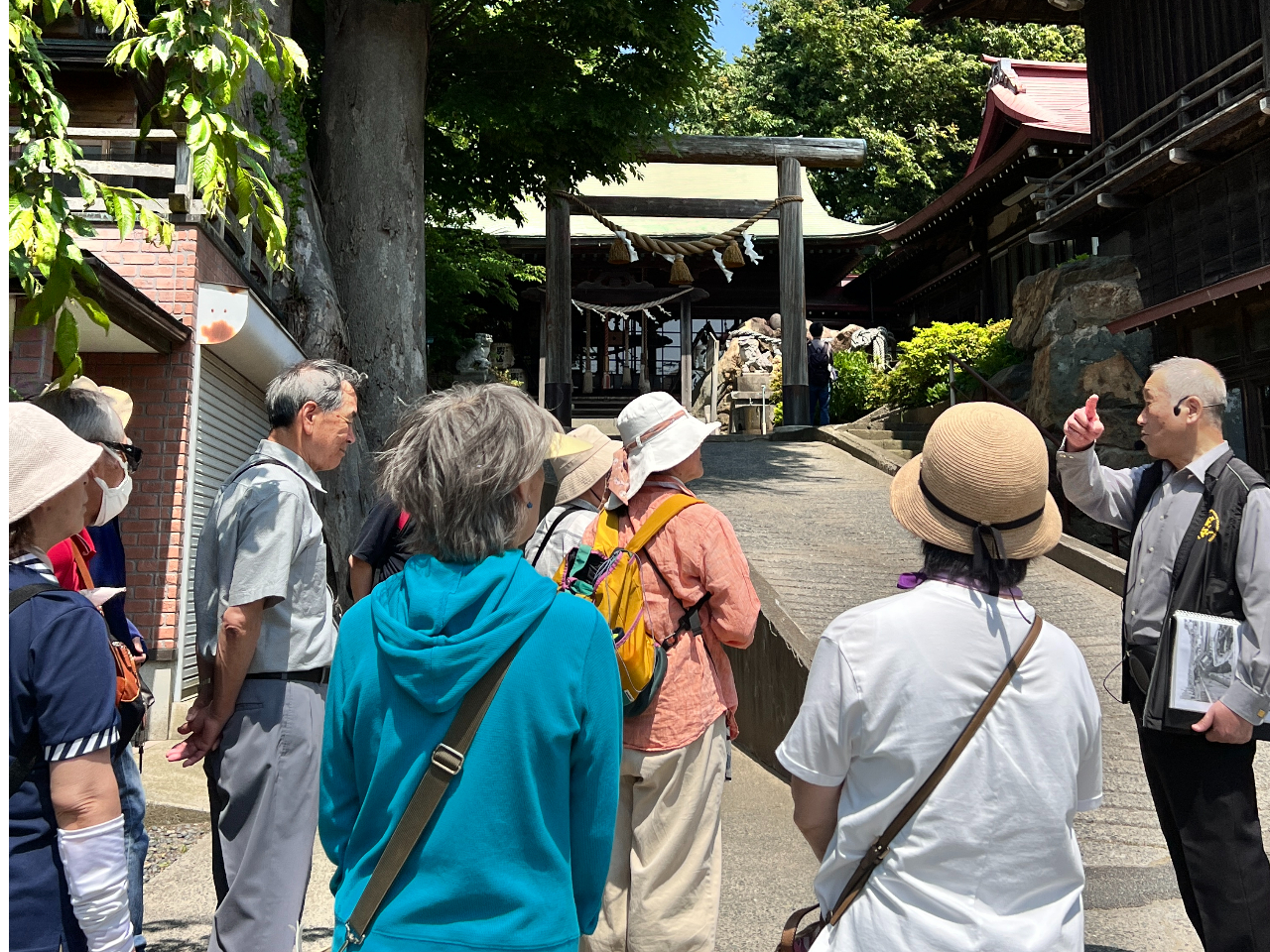 �ό��n�ł͂Ȃ��A���˂̕�炵�ɏo����B �n���K�C�h�ƕ�������������ہB