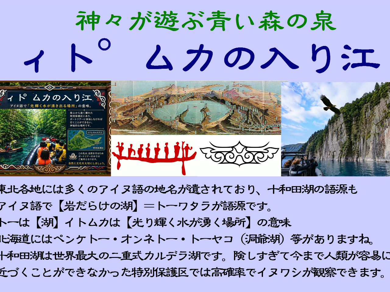 �C�g���J�̓���]��Ñ��ՁA���A�A�쐶�������ώ@�ł��܂��B