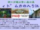 イトムカの入り江や古代遺跡、洞窟、野生動物が観察できます。