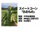 畑で収穫したてを、その場で生のままどうぞ。糖度平均20度前後、皮付きの俵重500g以上大粒スイートコーン「おおもの」の甘さを直接味わえます。