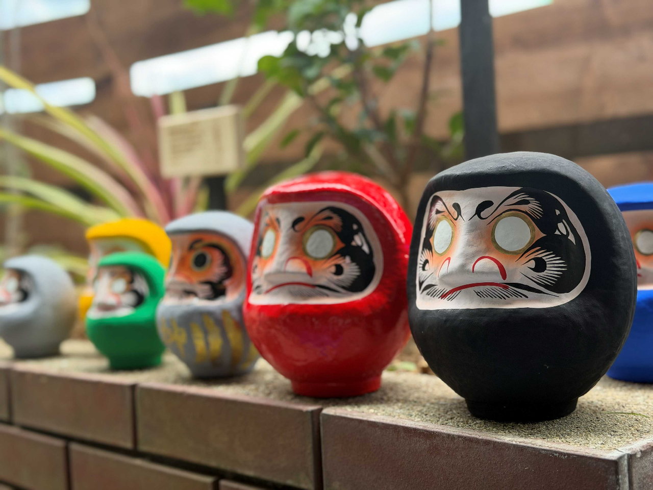 DARUMA LAB.�̎ʐ^1