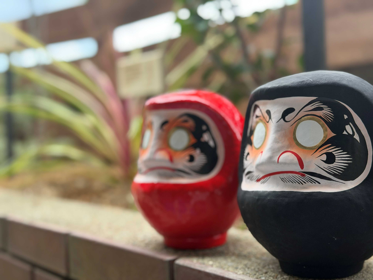 DARUMA LAB.�̎ʐ^2